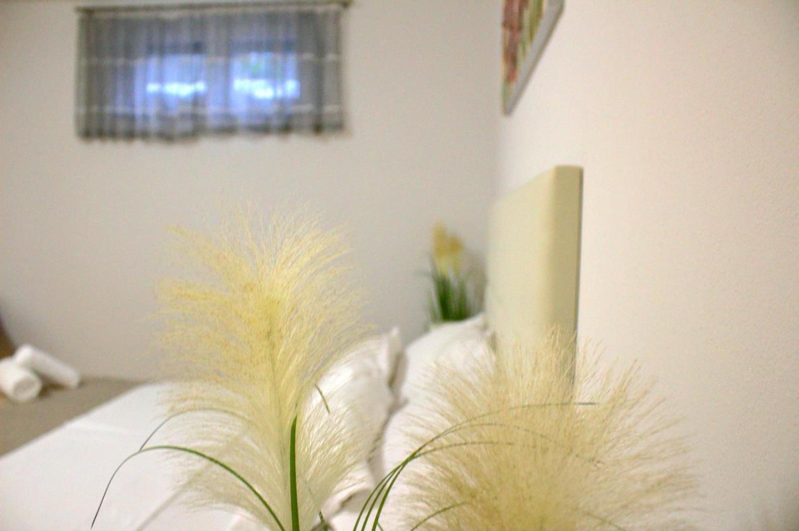 Apartment Danijela Zara Esterno foto