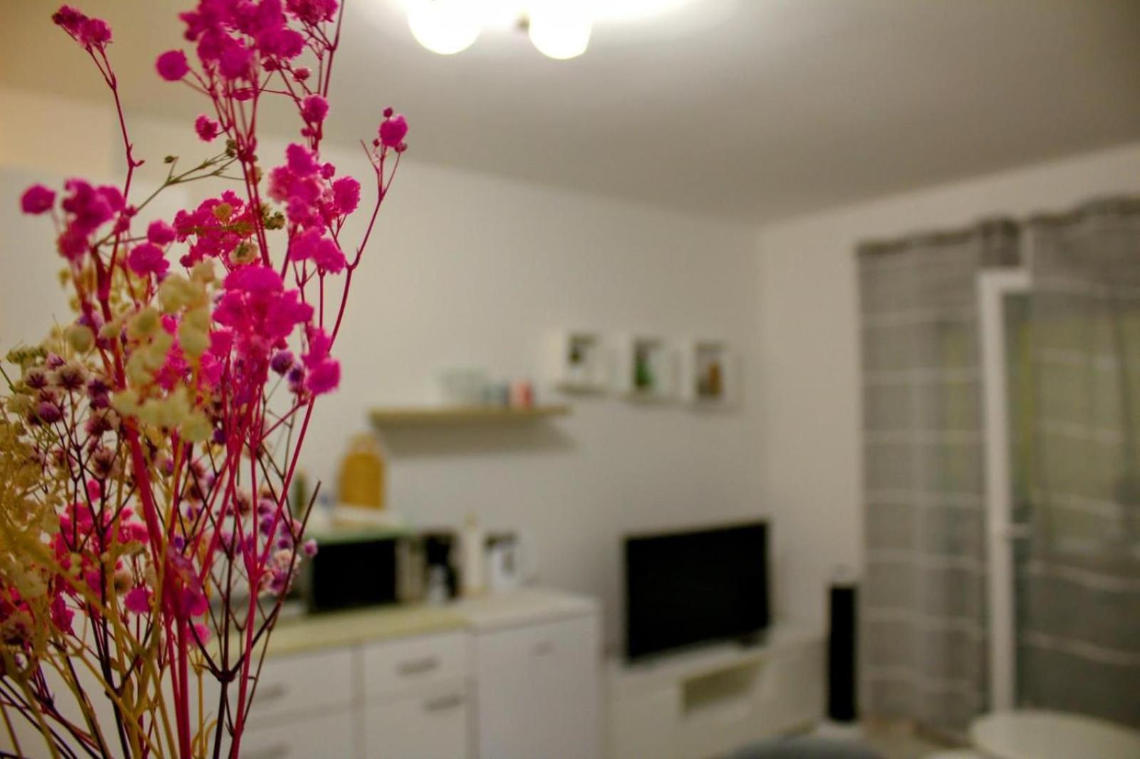 Apartment Danijela Zara Esterno foto